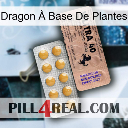 Dragon À Base De Plantes 41